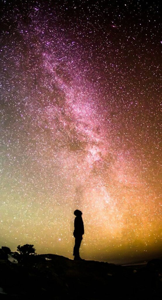 silhouette photography of person